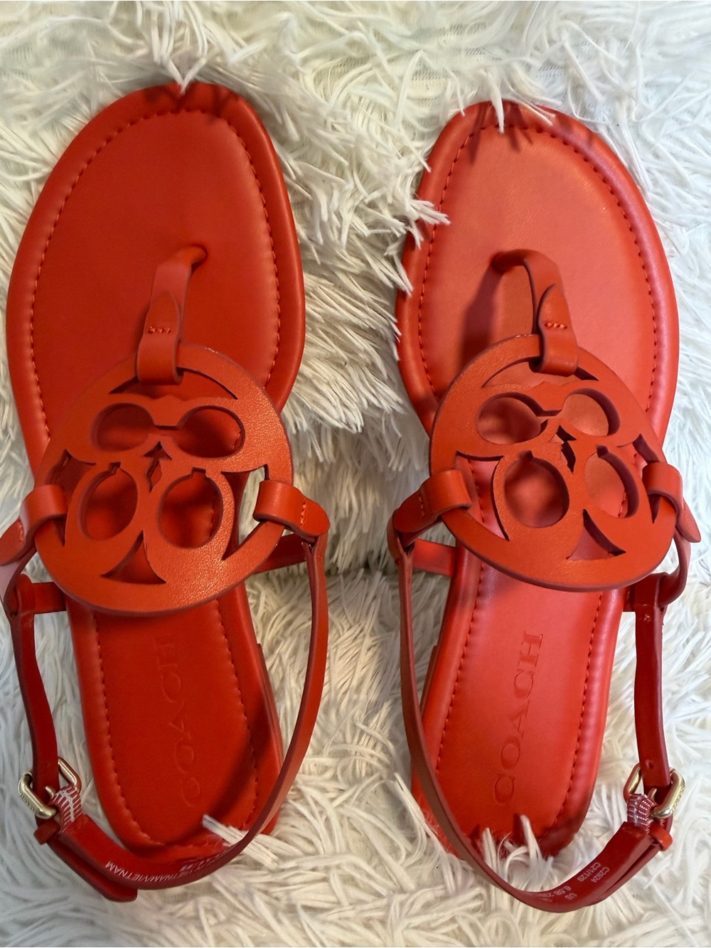 Make a vibrant statement with these gorgeous COACH "Jaci" T-Strap Sandals! - Picture 10 of 10